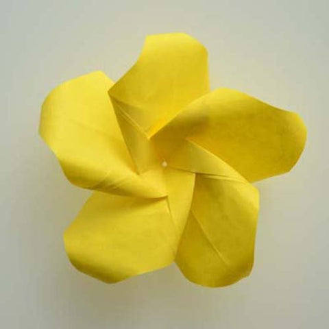 LaFosse & Alexander's Origami Flowers Kit: Lifelike Paper Flowers | SpreeIndia.com - India's First Website That Discovers Eco-Friendly Products