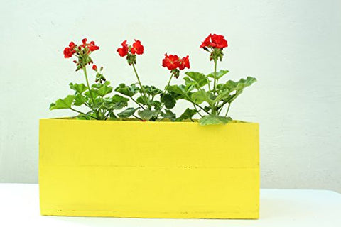 Green Gardenia Table Top Wooden Box Planter-Yellow | SpreeIndia.com - India's First Website That Discovers Eco-Friendly Products