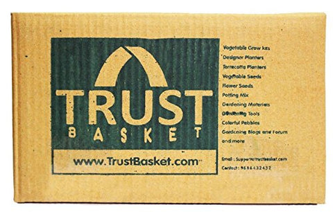 Trust Basket Trustbin (Set of Two 14 Ltrs Bins)-Indoor Compost Bin for Converting All Kinds of Kitchen Food Waste Into Fertilizer | SpreeIndia.com - India's First Website That Discovers Eco-Friendly Products
